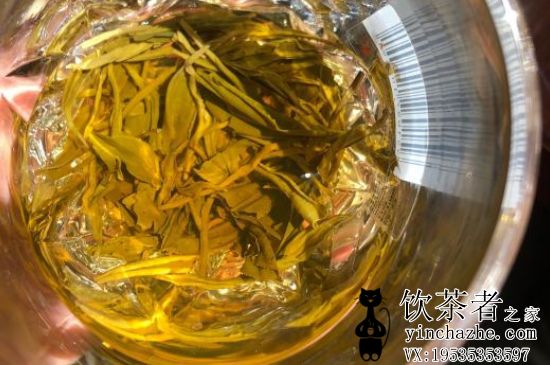 ʲô��Ҷ�ÿ��ֺúȣ���Ҷ�ĸ�Ʒ�ֺúȣ�