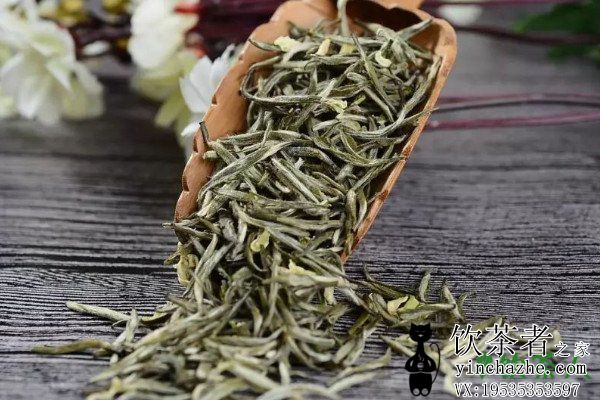 ��Ҷ������û���⻹�ܺ��𣬲�Ҷû����������?