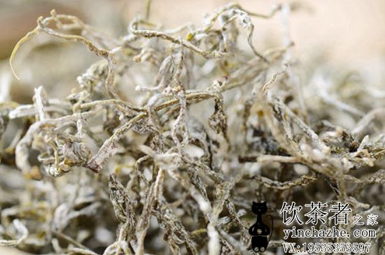 é��ݮ�豣�����ж�ã��żҽ�ݮ����ʱ�䳤�˻��ܺ���