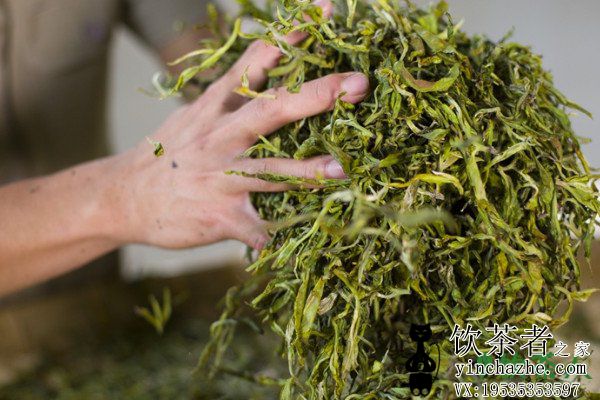 �Ʋ�Ĺ������̣���Ҷ�����������������