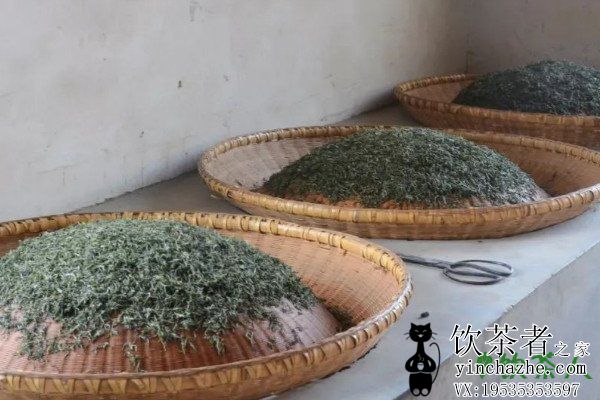 �Ʋ�Ĺ������̣���Ҷ�����������������