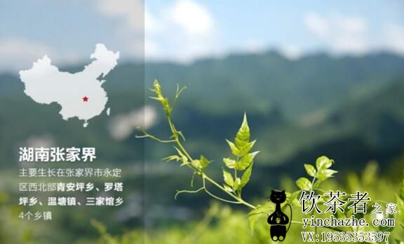 ݮ����������裬ݮ����ô����������