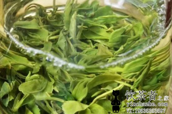 ��Ҷ���㷽�����������ܰѲ�Ҷ����ζ�������