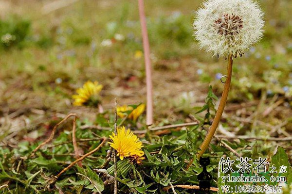 �ѹ�Ӣ����ô�����������ѹ�Ӣ�����������