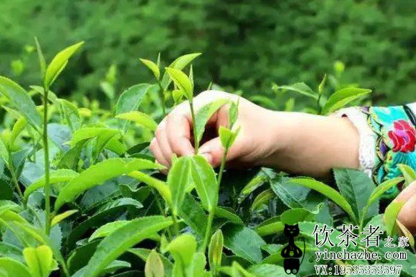 �̲����������������裬�̲��������������