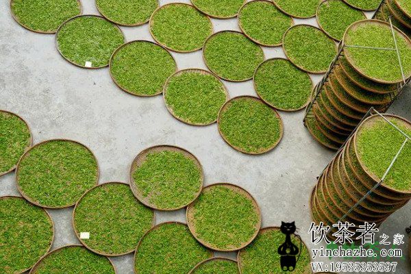 �̲����������������裬�̲��������������