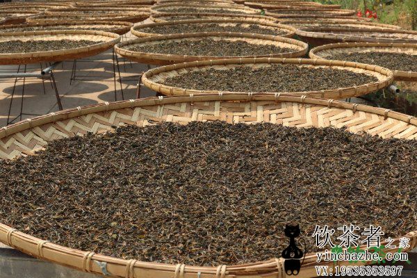 �̲����������������裬�̲��������������