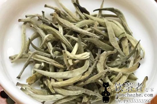 ������Ҷ���༰���У�����ʲô��Ҷ������úȣ�