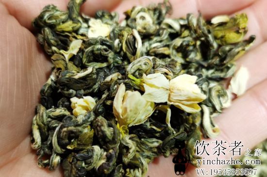 ������Ҷ���༰���У�����ʲô��Ҷ������úȣ�