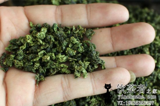 ������Ҷ���༰���У�����ʲô��Ҷ������úȣ�