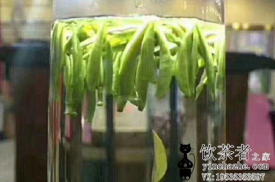 ��ʩ��Ҷ���࣬��ʩ�Ĳ���������Щ��