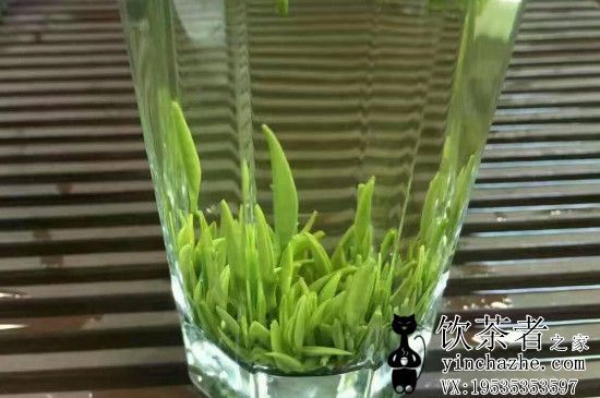 �����������а񣬽��ղ�Ҷ����ЩƷ�ƴ�ȫ��