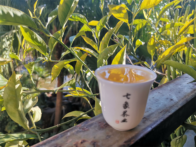 �ȸ��ղ���ʲô�ô���