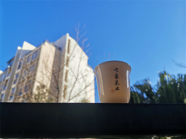 ��ô�����ն��������裿