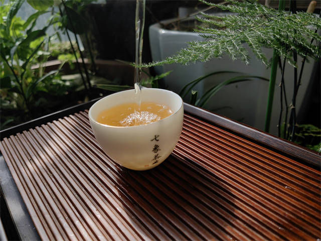 普洱茶生茶好还是熟茶好?