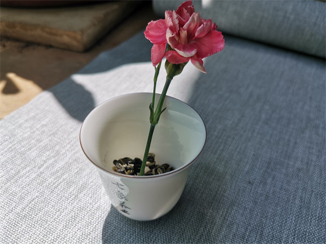 滇红茶哪里买不上当?