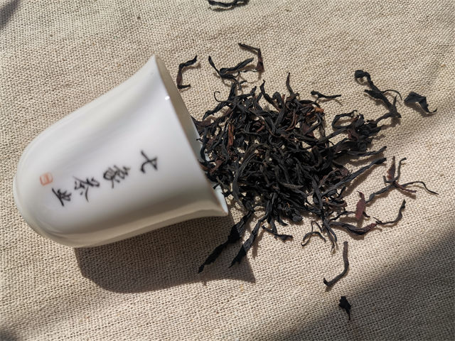云南凤庆嫩芽滇红茶买送三