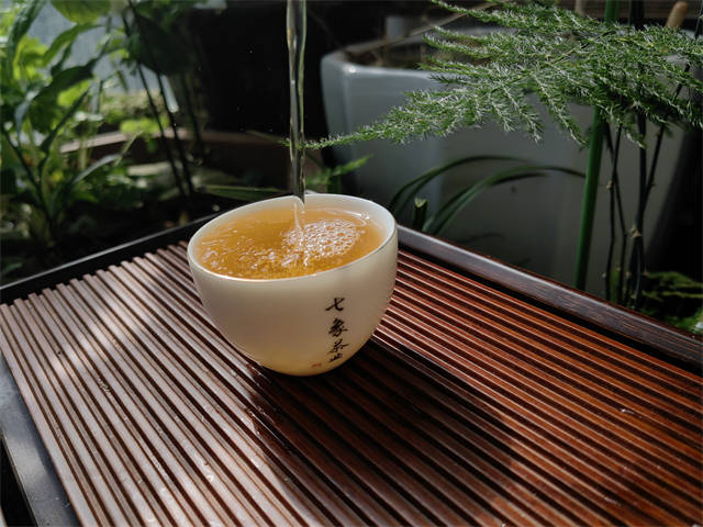白茶什么牌子的最正宗