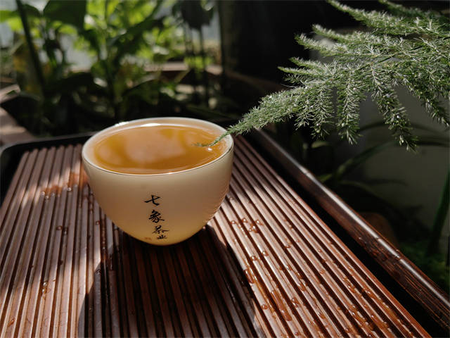 浙江安吉白茶哪里产的最出名？