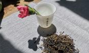 长期喝滇红茶的危害及解决方案