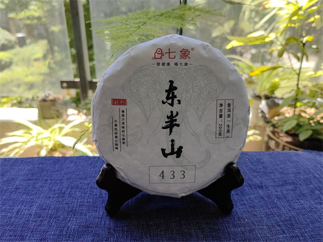 2023�� ���� ����ɽ����433 �ն��� ���� 200��