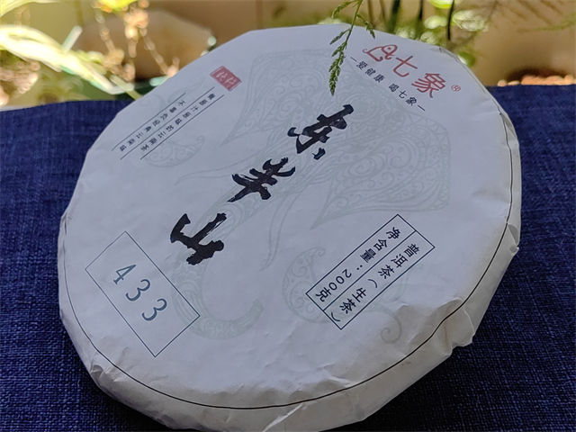 2023�� ���� ����ɽ����433 �ն��� ���� 200��