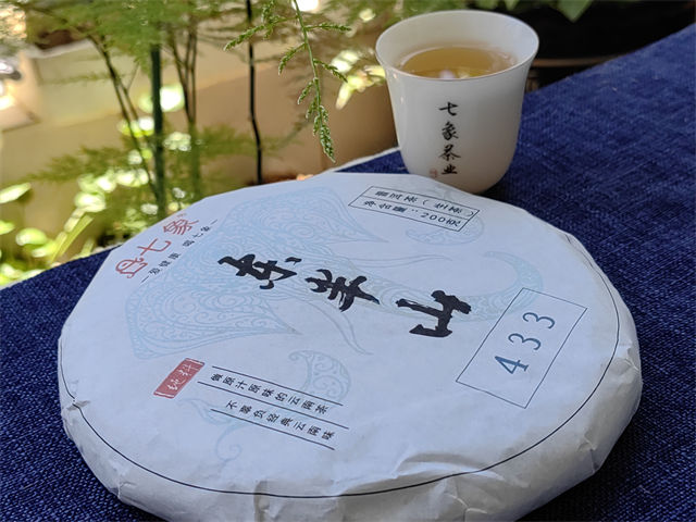 2023�� ���� ����ɽ����433 �ն��� ���� 200��