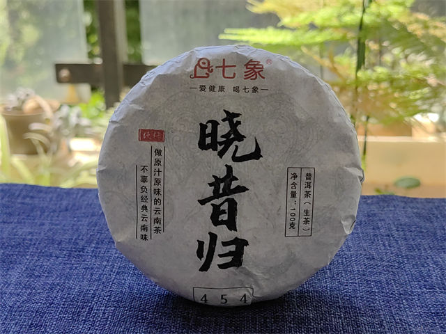 2023�� ���� �����鴿��454 �ն��� ���� 100��