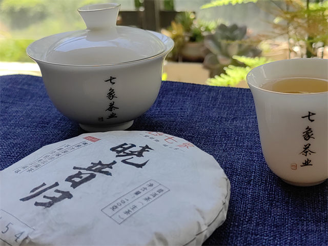 2023�� ���� �����鴿��454 �ն��� ���� 100��