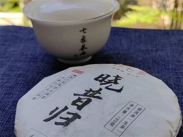 2023�� ���� �����鴿��454 �ն��� ���� 100��