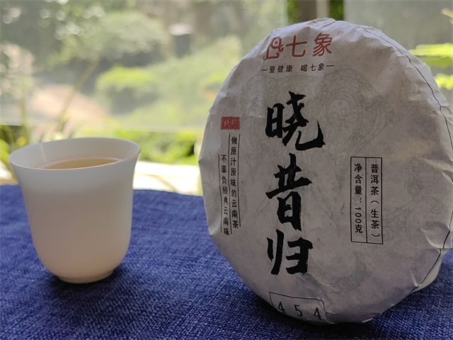 2023�� ���� �����鴿��454 �ն��� ���� 100��