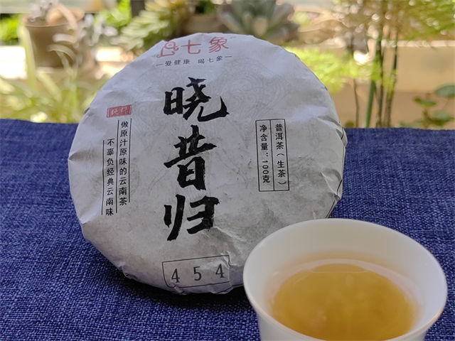 2023�� ���� �����鴿��454 �ն��� ���� 100��