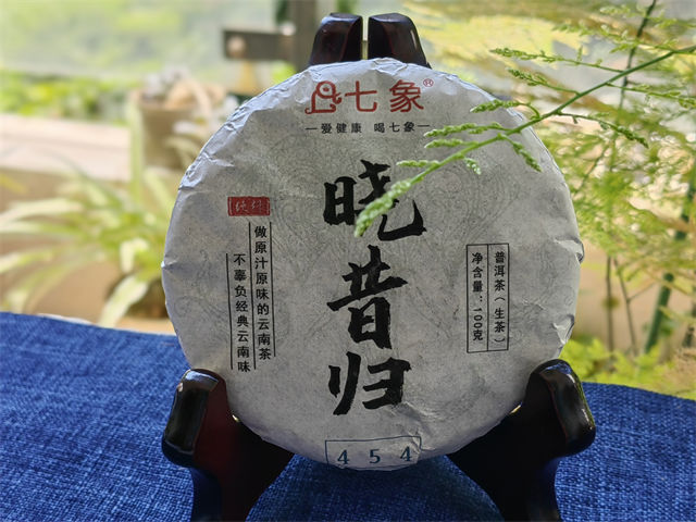 2023�� ���� �����鴿��454 �ն��� ���� 100��