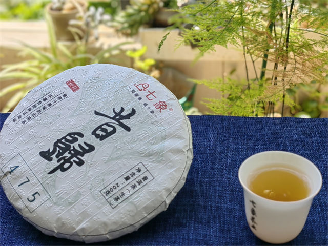 �������ڶ���ɽ��������ɽ��