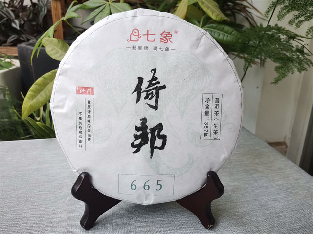 倚邦贡茶的历史渊源