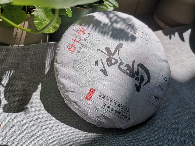 冰岛普洱茶都有哪些品牌的