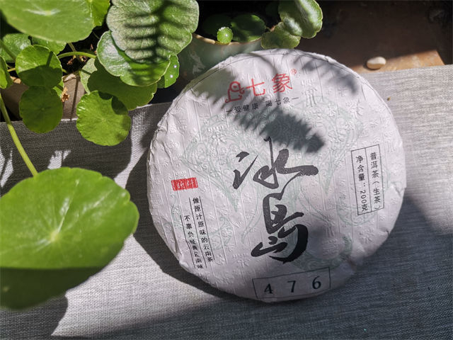 冰岛普洱茶只有生普吗?