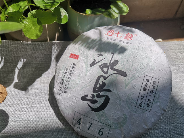 冰岛普洱茶有什么品牌