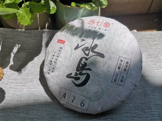 冰岛普洱茶是品牌吗?