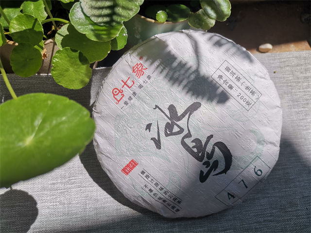 冰岛普洱茶哪个品牌正宗好喝一点?