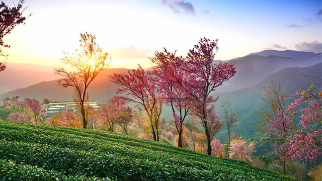 �����Ͻ�����ɽӣ������Ʊ�۸�����ɽӣ������Ʊ����Ǯ��