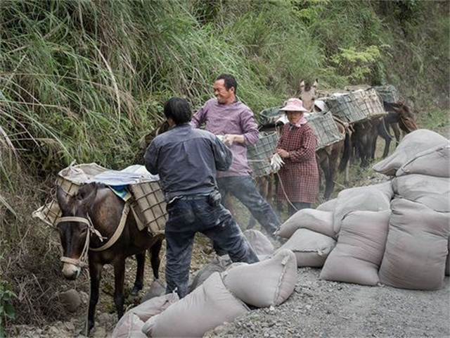 ����Ů����