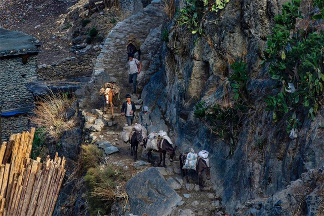 ����Ů����