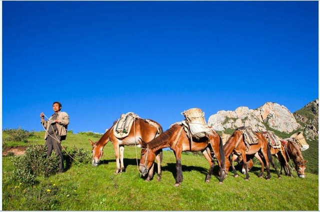 ����Ů����