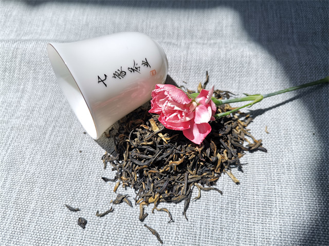 չ��籺�����