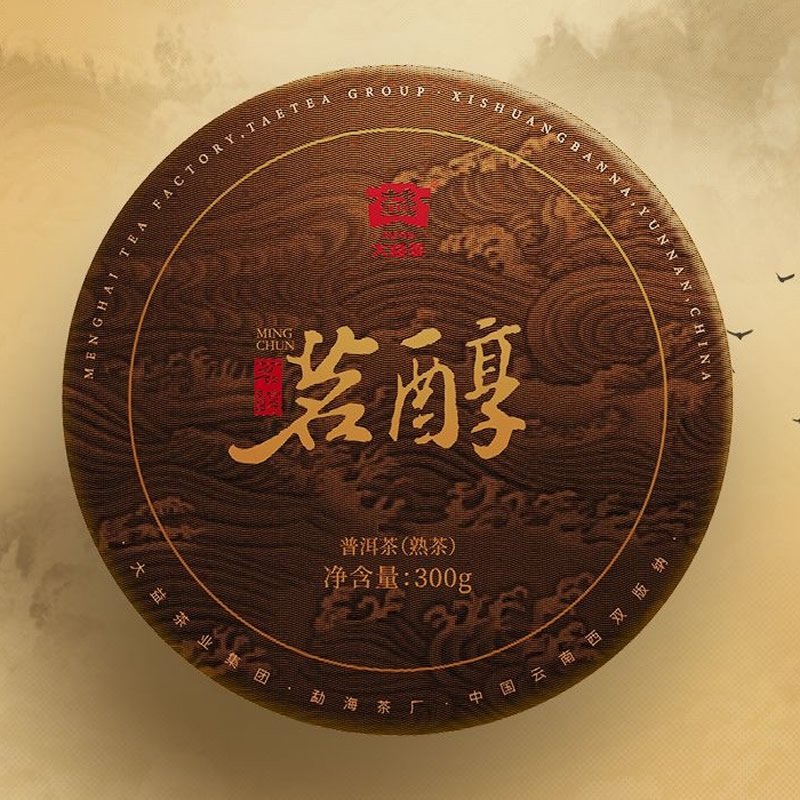 2024����� ���� ���