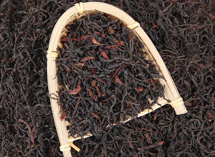 2025�����Ϸ����� ����Ұ����� ������� 500��