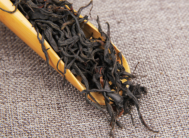 2025�����Ϸ����� ����Ұ����� ������� 500��