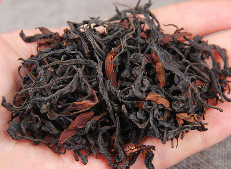 2025�����Ϸ����� ����Ұ����� ������� 500��