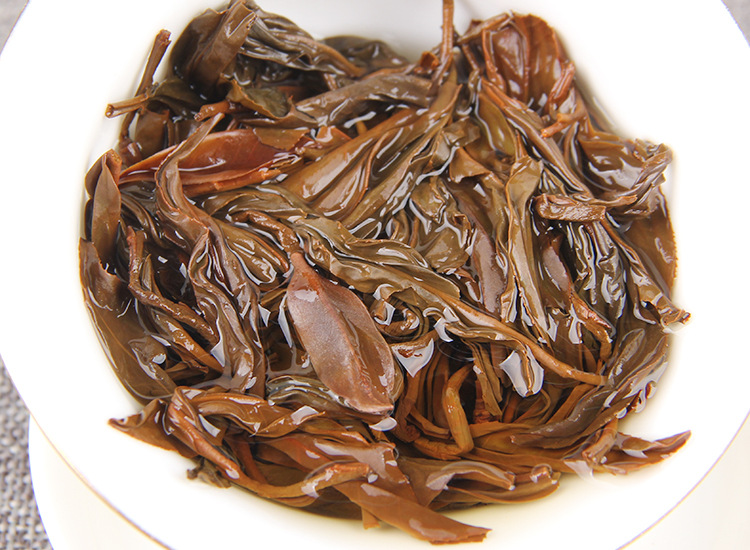 2025�����Ϸ����� ����Ұ����� ������� 500��